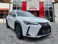 Lexus UX 250h Style Edition ACC*KAM*DAB*SHZ*LenkradHz Blanc - thumbnail 7