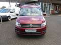 Volkswagen Caddy Maxi TSI Highline DSG NAVI PARKLENK XENON Klima Rot - thumbnail 10