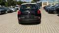 Fiat 500L 1.3 Multijet 95 CV Pop Star IDONEA NEOPATENTATI Nero - thumbnail 4