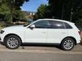 Audi Q5 2.0 TDI quattro S tronic - thumbnail 5