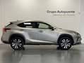 Lexus NX 300 300h Premium 2WD Grau - thumbnail 2