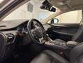 Lexus NX 300 300h Premium 2WD Gris - thumbnail 13