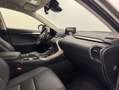 Lexus NX 300 300h Premium 2WD Grau - thumbnail 29