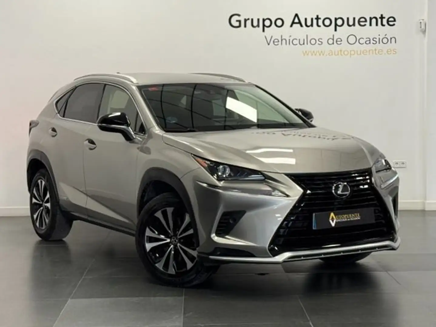 Lexus NX 300 300h Premium 2WD Gris - 1