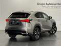 Lexus NX 300 300h Premium 2WD Grau - thumbnail 3