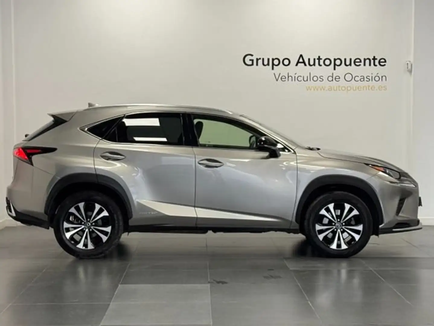 Lexus NX 300 300h Premium 2WD Gris - 2