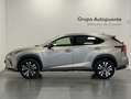Lexus NX 300 300h Premium 2WD Grau - thumbnail 5