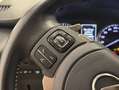 Lexus NX 300 300h Premium 2WD Gris - thumbnail 22
