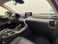 Lexus NX 300 300h Premium 2WD Gris - thumbnail 12