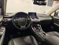 Lexus NX 300 300h Premium 2WD Grau - thumbnail 8