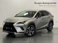 Lexus NX 300 300h Premium 2WD Gris - thumbnail 6