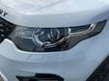 Land Rover Discovery Sport 2.0 TD4 SE BI-XEN+NAV+2xPDC+GRA Blanc - thumbnail 15