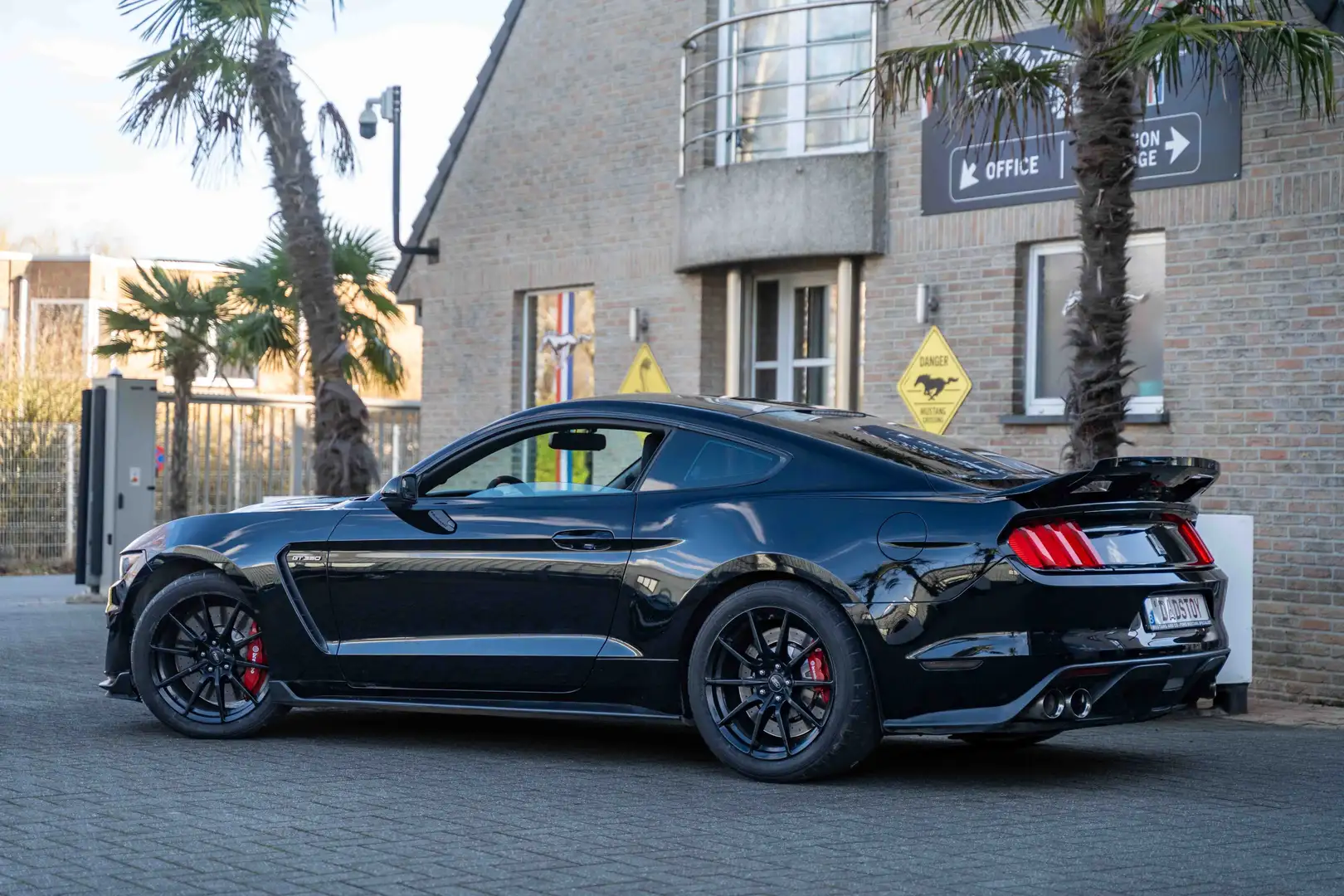 Shelby GT GT350 - 1