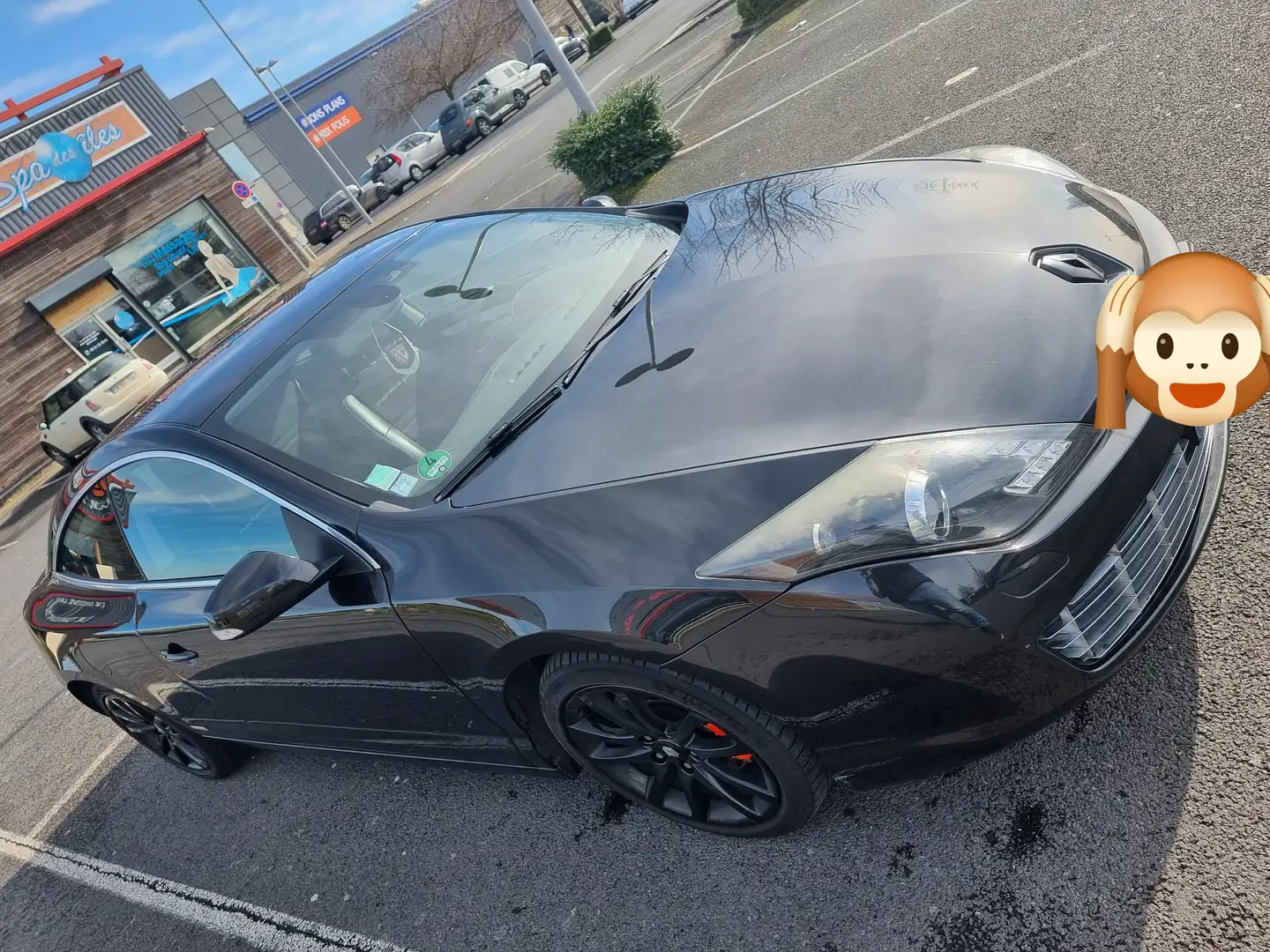Renault Laguna Coupé+2.0+dCi+175+Monaco+GP Noir - 2