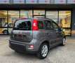 Fiat Panda 1.0 FireFly Hybrid *SOLO 45.000Km* Grigio - thumbnail 4
