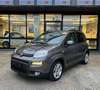 Fiat Panda 1.0 FireFly Hybrid *SOLO 45.000Km* Grigio - thumbnail 3