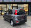 Fiat Panda 1.0 FireFly Hybrid *SOLO 45.000Km* Grigio - thumbnail 6