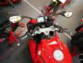 Ducati S Modell sofort verfügbar Rot - thumbnail 8