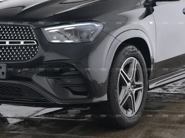 Mercedes-Benz GLE 350 de 4M AMG LINE AIRMATIC AHK 3500 KG PANO Ansicht 4