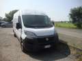 Fiat Ducato L2H2 2.3 mjt 3 posti Euro 6 d-temp Weiß - thumbnail 3