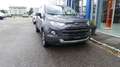 Ford EcoSport 1,0 EcoBoost Titanium Grau - thumbnail 3