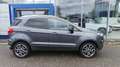 Ford EcoSport 1,0 EcoBoost Titanium Grau - thumbnail 4