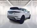 Land Rover Range Rover Evoque 2.0d i4 fwd 163cv Bianco - thumbnail 7