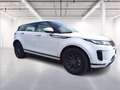 Land Rover Range Rover Evoque 2.0d i4 fwd 163cv Bianco - thumbnail 8