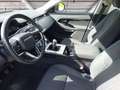 Land Rover Range Rover Evoque 2.0d i4 fwd 163cv Bianco - thumbnail 10
