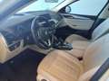 BMW X4 xDrive 20dA Bianco - thumbnail 5