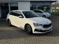 Skoda Scala 1.0 TSI Drive 125 Navi Virtual LED SHZ LM" Blanco - thumbnail 1
