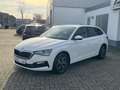 Skoda Scala 1.0 TSI Drive 125 Navi Virtual LED SHZ LM" Blanco - thumbnail 4