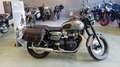 Triumph Bonneville T100 900 E5 Verde - thumbnail 4