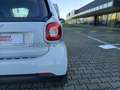 smart forTwo Fortwo eq Youngster my19 Bianco - thumbnail 18