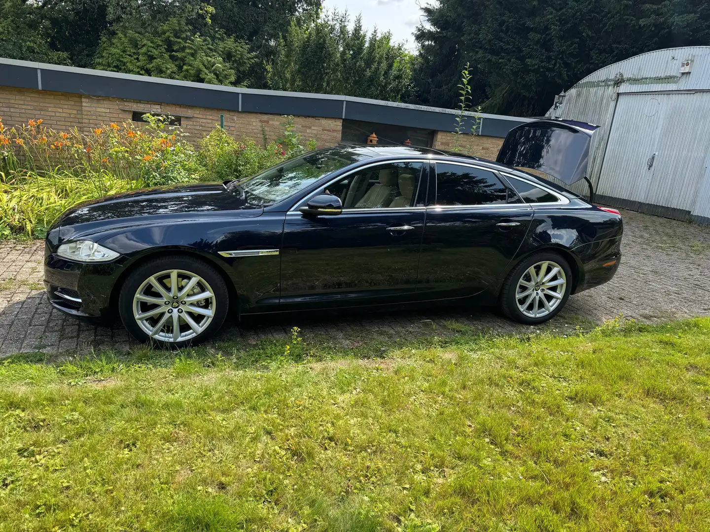 Jaguar XJ XJ 3.0 V6 Diesel SPremium Luxury Azul - 1