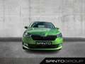Skoda Fabia Fabia 1.0 TSI Drive 125 Best of PANO SHZ NAVI BT Grün - thumbnail 2