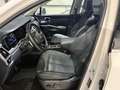 Kia Sorento Platinum 4WD Weiß - thumbnail 8