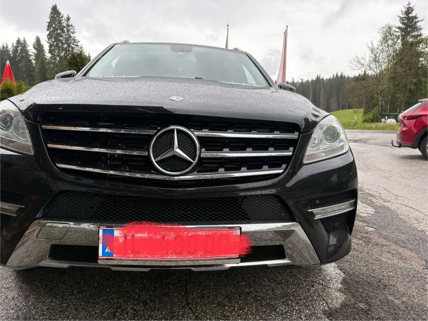 Mercedes-Benz ML 250 BlueTEC 4MATIC Aut. DPF - 1