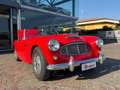 Austin Healey 100/6 Rojo - thumbnail 18