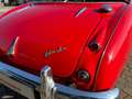 Austin Healey 100/6 Rojo - thumbnail 16