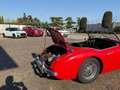 Austin Healey 100/6 Rojo - thumbnail 17