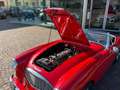 Austin Healey 100/6 Rojo - thumbnail 21