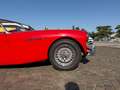 Austin Healey 100/6 Rojo - thumbnail 14