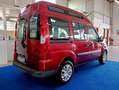Fiat Doblo 1.3 MJT TETTO ALTO PEDANA RAMPA CARROZZINA - thumbnail 6