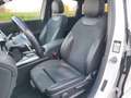 Mercedes-Benz B 200 AMG Premium Tagliandi Mercedes Tetto Apribile - thumbnail 9