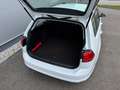 Volkswagen Golf Variant TDI **PICKERL NEU**GARANTIE** Weiß - thumbnail 14