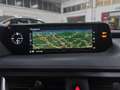 Lexus UX 250h UX Hybrid F Sport - thumbnail 12