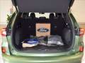 Ford Kuga 2.5 phev ST-Line X 2wd 243cv auto Grün - thumbnail 9