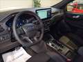 Ford Kuga 2.5 phev ST-Line X 2wd 243cv auto Grün - thumbnail 13