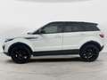 Land Rover Range Rover Evoque Range Rover Evoque  5p 2.0 td4 SE 150cv auto my18 Bianco - thumbnail 7